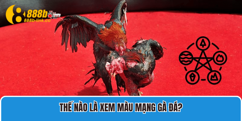 Màu Mạng Gà Đá Tại 888B Cùng Thông Tin Liên Quan 2 Thế nào là xem màu mạng gà đá?